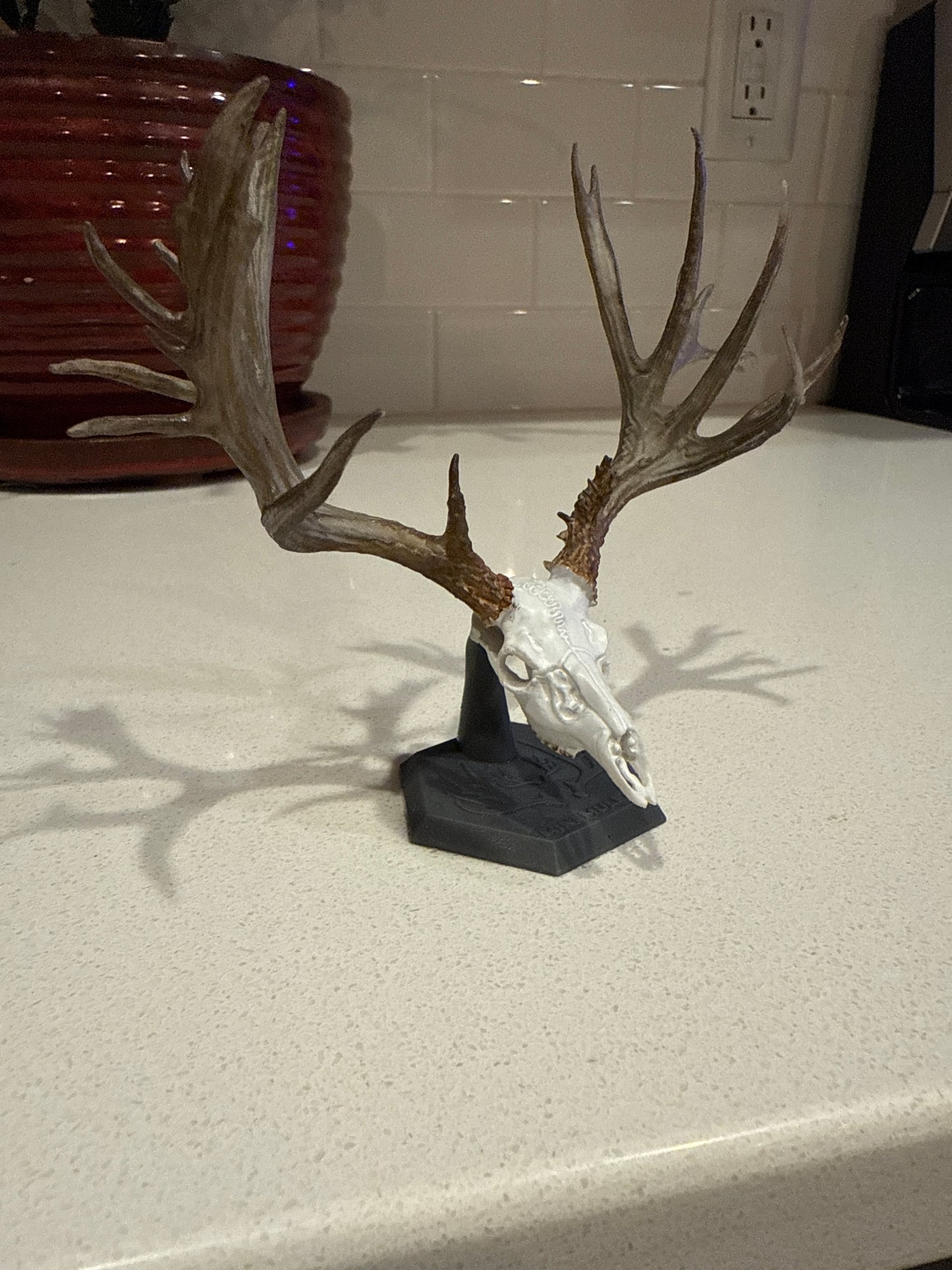 Display Stand