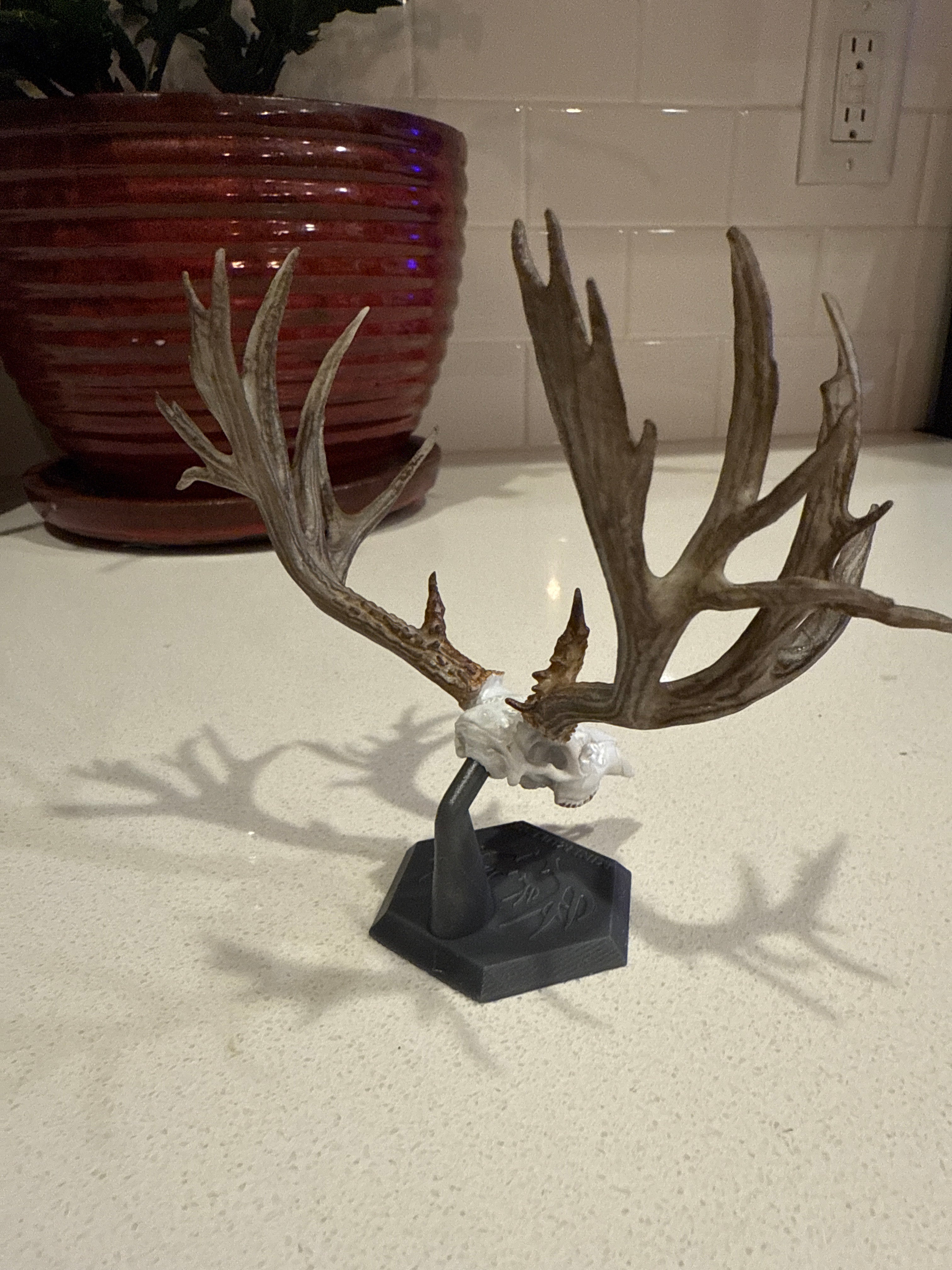 Display Stand