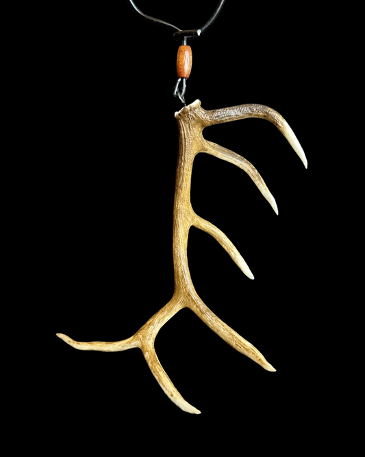 Elk Typical Shed