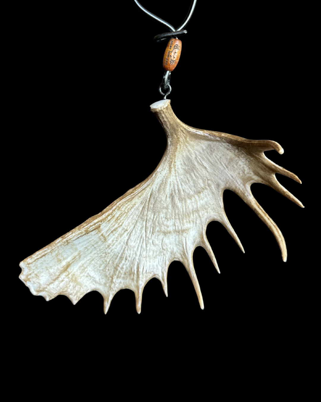 Moose Shed