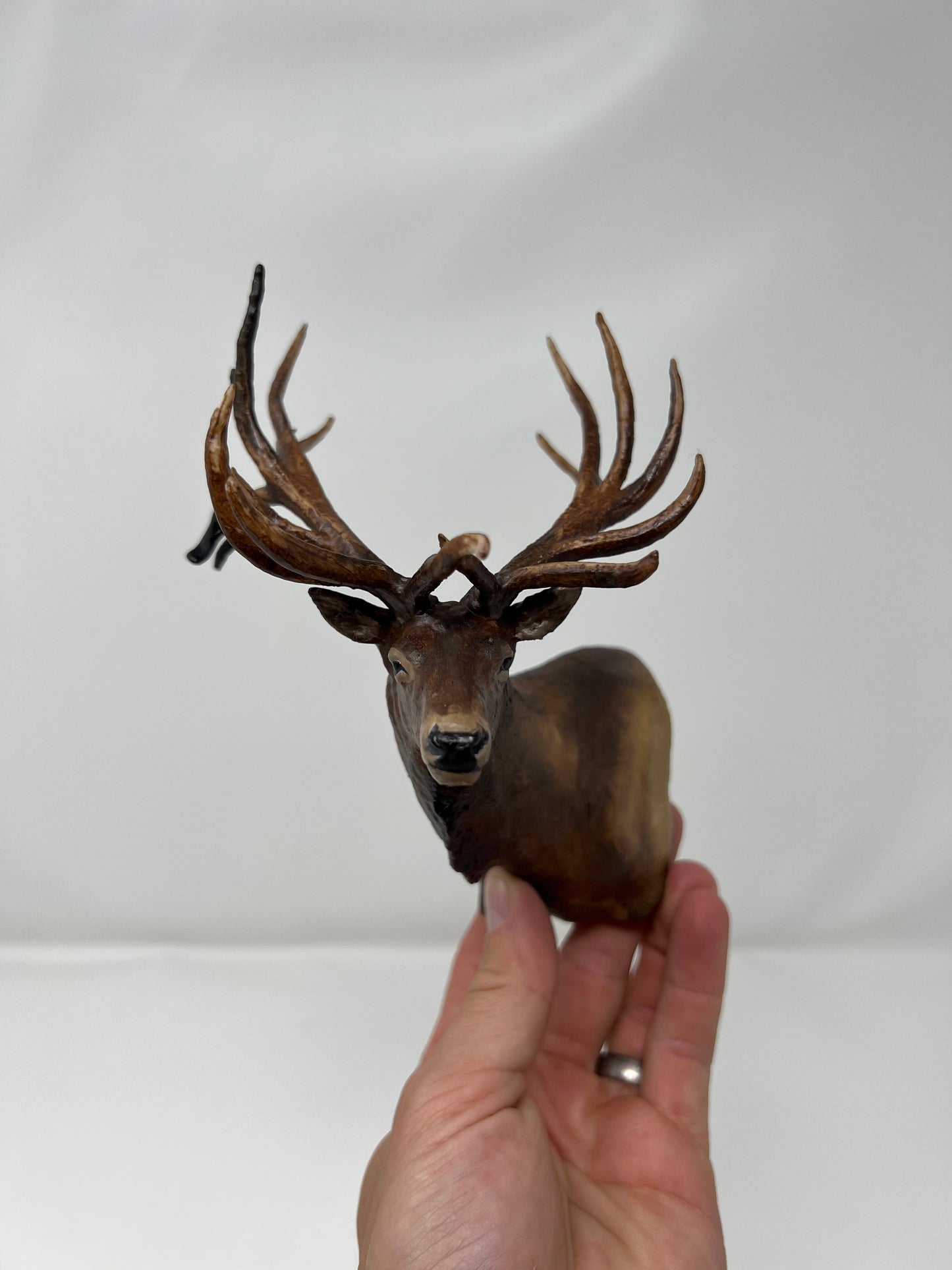 "Spider Bull" by Mossback Outfitters and Denny Austad